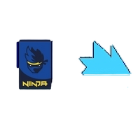 Ninja